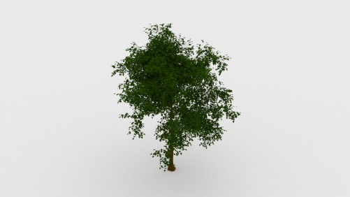 Plant Free 3D Model | FREE 3D MODELS